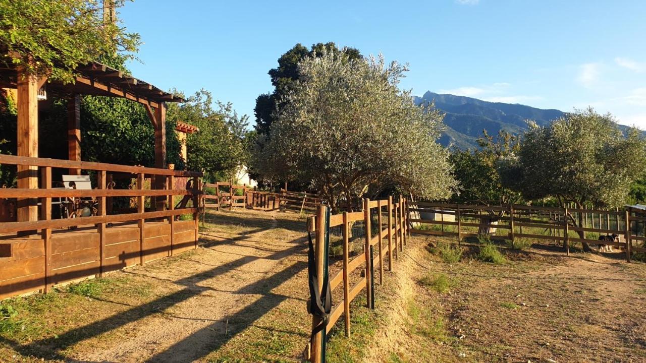 Chambre D'Hotes Le Petit Ranch Los Masos Exterior foto